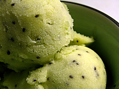 Kiwi for Kiwi Sorbet
