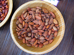 Los Angeles Luxury Chocolate Salon, Raw Cacao Beans
