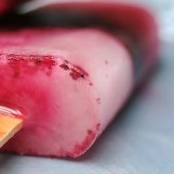 Berry Yogurt Popsicles from Two Fat Als on TasteSpotting