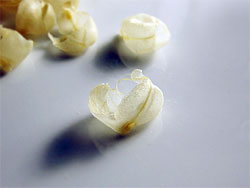 Chickpea Skins, Peeled Off for Hummus