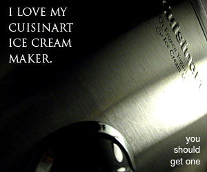 cuisinart ice 30 BC series ice cream maker