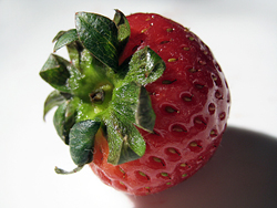Strawberry Top