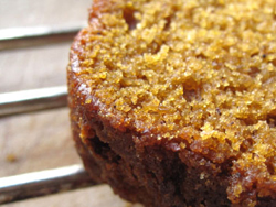 Thumbnail image for Pumpkin Bread – The Delicious Daily 11.05.2009