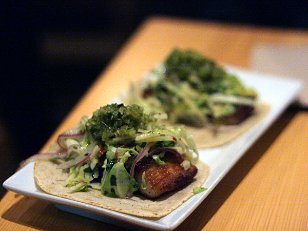 black hogg pork belly tacos