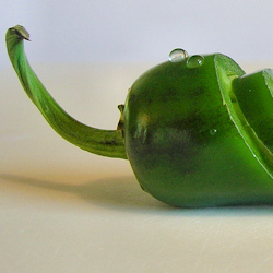 How to Preserve Jalapeno Peppers