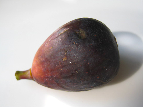 Fresh Fig