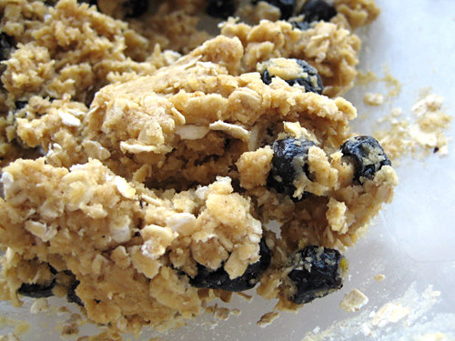 Blueberry Oatmeal Cookie Dough