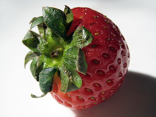 strawberry-top