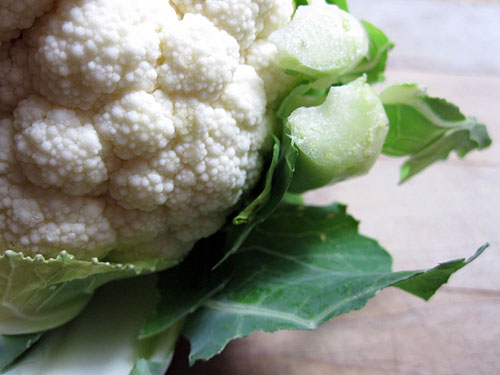 cauliflower-gratin-cauliflower