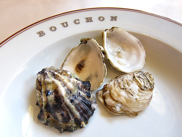 Bouchon Beverly Hills - Oyster Shell Comparison