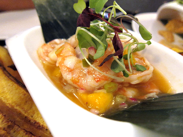 Red O Restaurant by Rick Bayless - Shrimp Ceviche