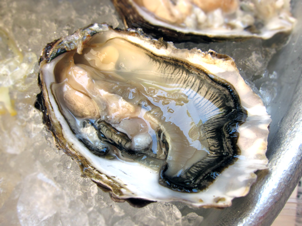 CrabFest at Hungry Cat - Bahia Falsa Oyster