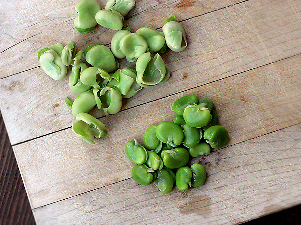 Fava Beans, cooked and peeled