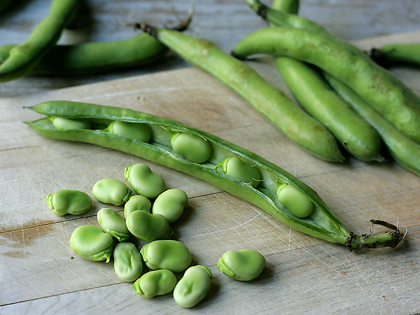 Fava Beans, shucking