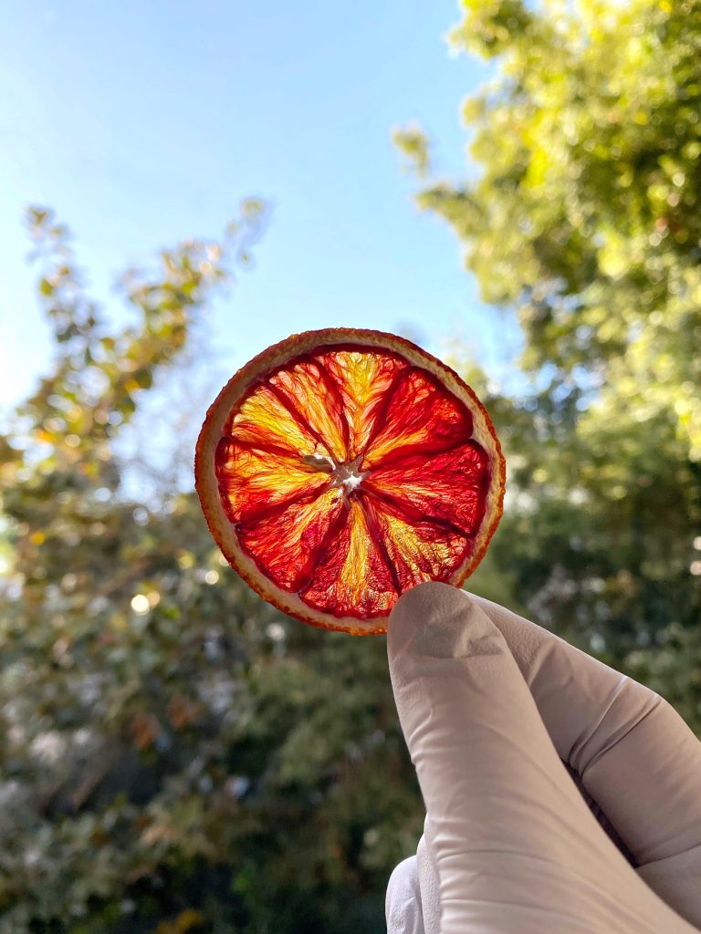 dried orange slice, blood orange